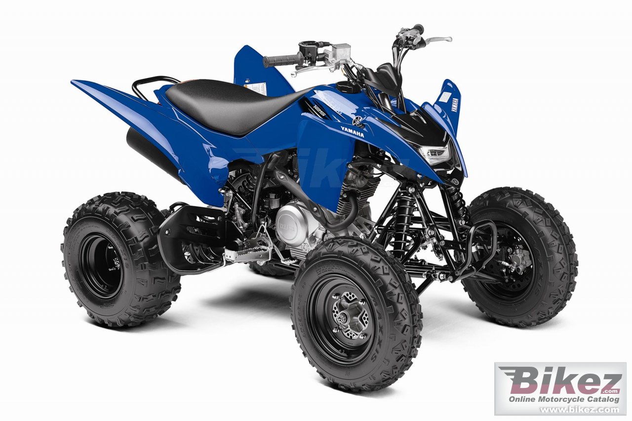 Big Yamaha raptor 125 picture and wallpaper from Bikez.com